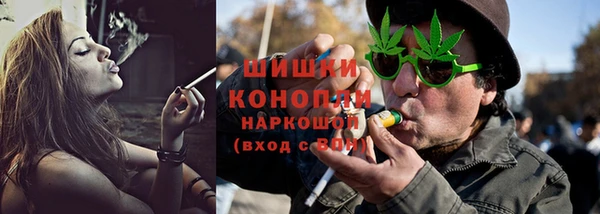 метадон Богданович