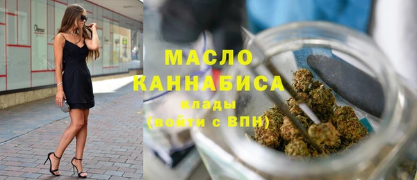 метадон Богданович
