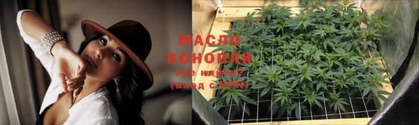 метадон Богданович