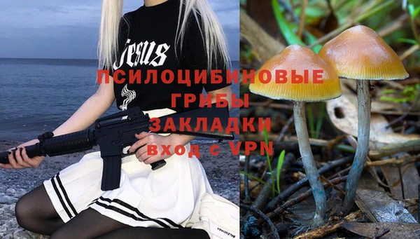 метадон Богданович
