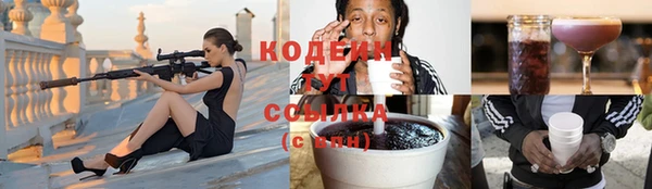 кокс Богородицк