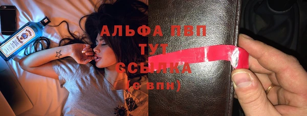 метадон Богданович