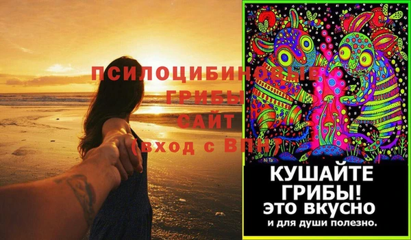 метадон Богданович