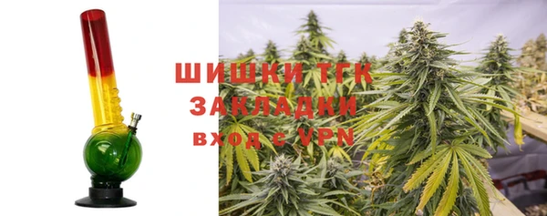 кокс Богородицк