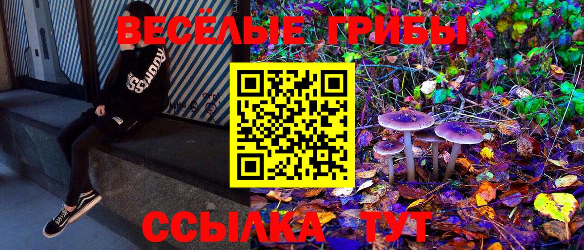 Реж  Галлюциногенные грибы GOLDEN TEACHER  Вход с VPN 